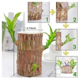Treeicks Mini Brazalian wood