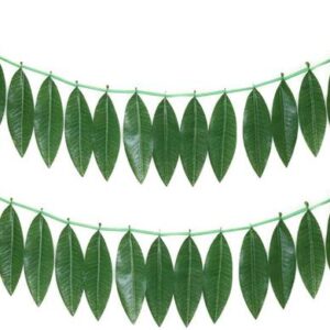 Fresh Mango Leaves String / Toran