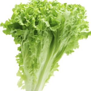 Bhoomi Farms Organic Leafy Lettuce