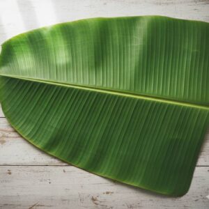 Banana Leaf