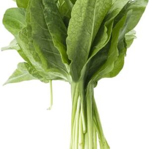 Spinach Hydroponics Leafy