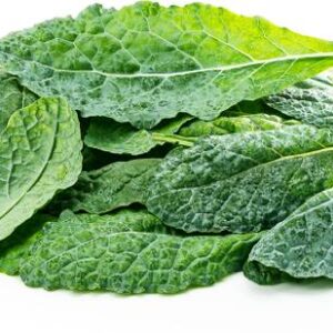 Kale Italian Hydroponically Grown Leafy